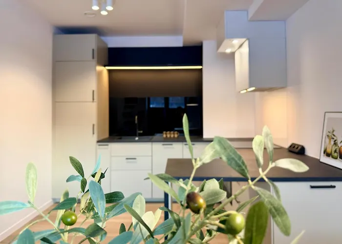 Polna Park Duszniki Zdrój